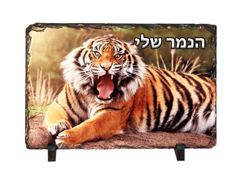 B-Present אבן בזלת 30 / 20